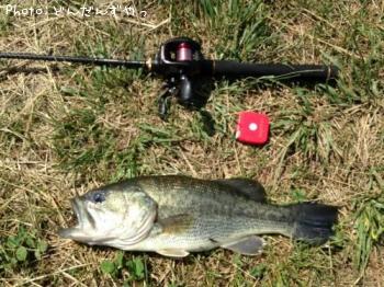 �֥�å��Х�