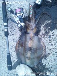 �����ꥤ��