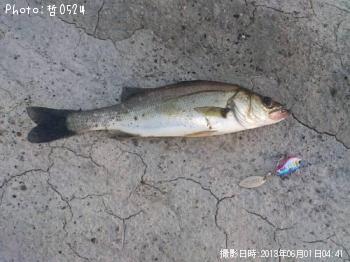 �����Х�