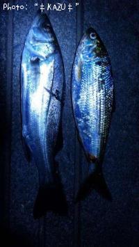 �����Х�