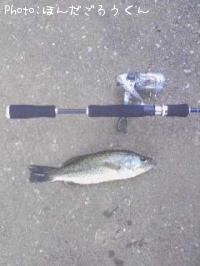 �֥�å��Х�