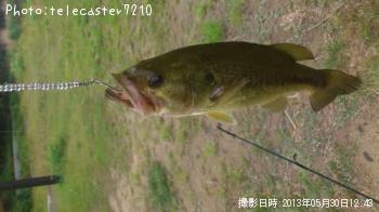 ¥Ö¥é¥Ã¥¯¥Ð¥¹