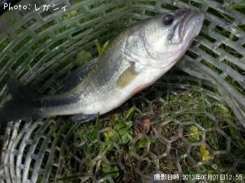 ¥Ö¥é¥Ã¥¯¥Ð¥¹