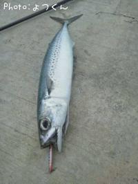 ���ޥ��ϡ�