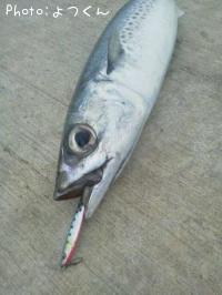 ���ޥ��ϡ�