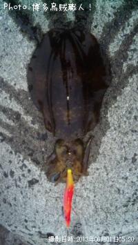 �����ꥤ��