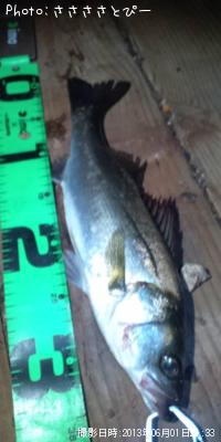 ���ꥢ��Х�