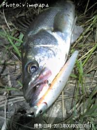 �����Х�