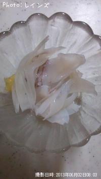 �����Υ�����ꥤ��