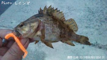 �����Υ�����ꥤ��