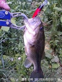 �֥�å��Х�