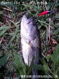 �֥�å��Х�