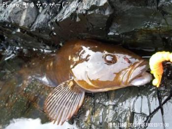 �����ʥ�