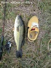 �֥�å��Х�