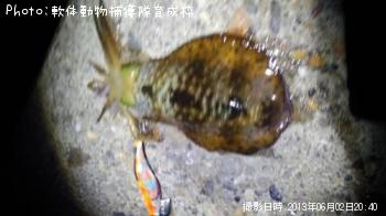 �����ꥤ��