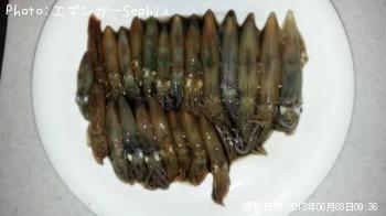 ¥Ò¥¤¥«¡¡¡õ¡¡¥ä¥ê¥¤¥«