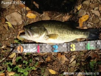 ¥Ö¥é¥Ã¥¯¥Ð¥¹