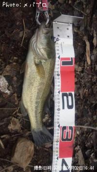 �֥�å��Х�