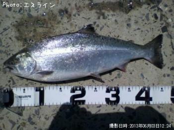 ������ޥ�