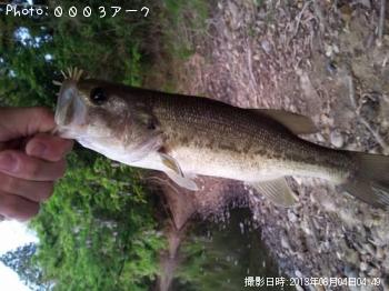 �֥�å��Х�