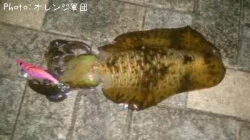 �����ꥤ��