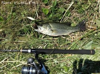 �֥�å��Х�