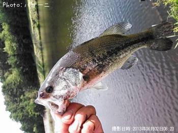 �֥�å��Х�