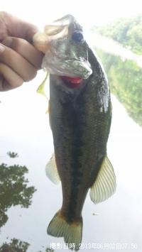 �֥�å��Х�