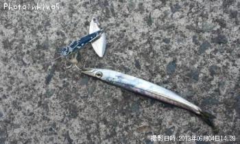 ���ӥ��ޥ�