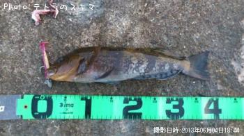 �����ʥ�