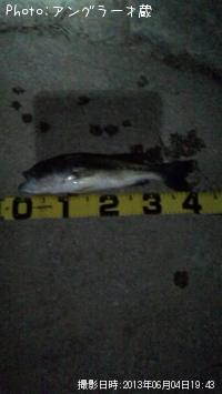 �֥�å��Х�