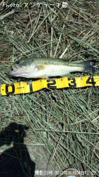 �֥�å��Х�