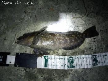 �����ʥ�