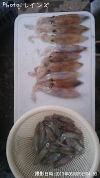 ¥Ò¥¤¥«¡õ¥ä¥ê¥¤¥«