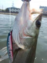 �����Х�