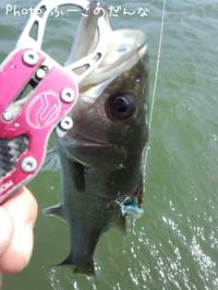 �����Х�