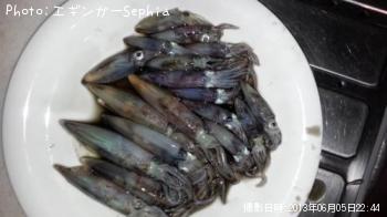 �ҥ�����������ꥤ��