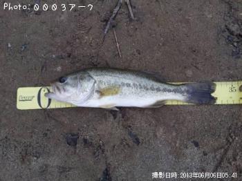 ¥Ö¥é¥Ã¥¯¥Ð¥¹