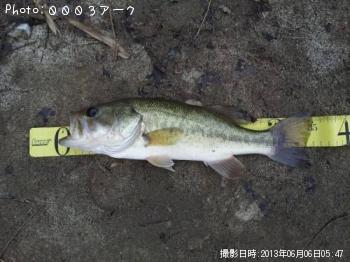 �֥�å��Х�