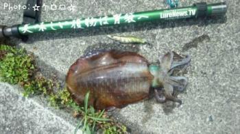 �����ꥤ��