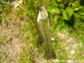 �֥�å��Х�