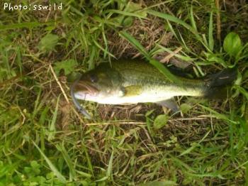 �֥�å��Х�