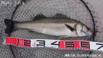 �����Х�