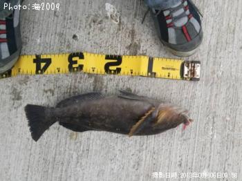 �����ʥ�