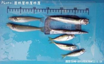 ���������ޥ������亮