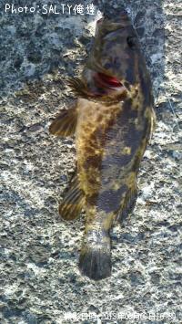 �����Υ���Х�