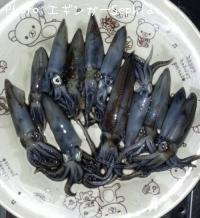 �ҥ�����������ꥤ��