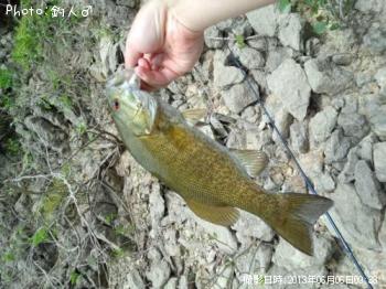 ���⡼��ޥ����Х�