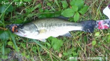 ¥Ö¥é¥Ã¥¯¥Ð¥¹