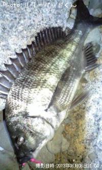 ���ε�����